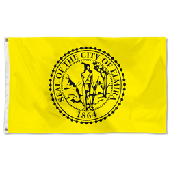 Elmira, New York flag
