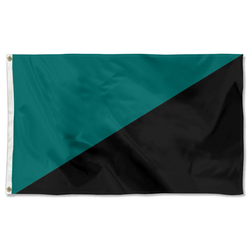 A Teal and Black Flag