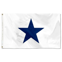 US Navy Rear Admiral Lower Half Flag