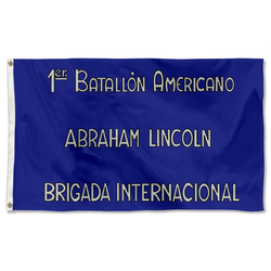 1st Batallion flag