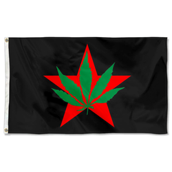 The Youth International Party Yippies