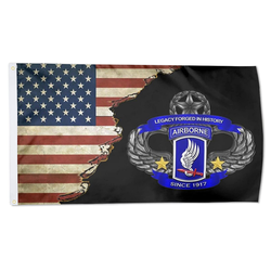 Us Army 173rd Airborne Brigade Flag