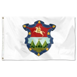Bandera de la Ciudad de Guatemala Flag