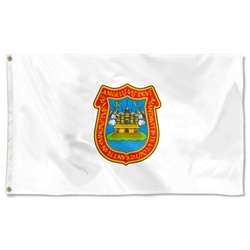 Bandera de Puebla de Zaragoza Flag