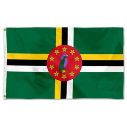 Dominica (1981-1988) Flag