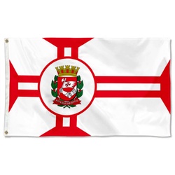 Bandeira da cidade de São Paulo Flag