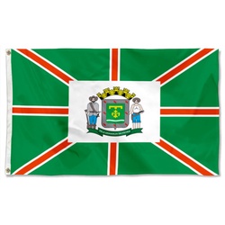 Bandeira de Goiânia Flag