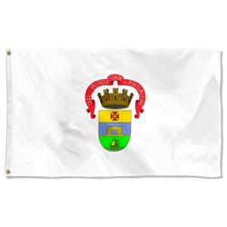 Bandeira de Porto Alegre Flag