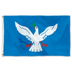 Bandeira de Salvador Flag