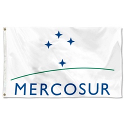 Mercosur 1994 Flag