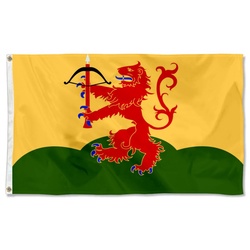 Arms banner County Kronoberg County Flag Banner