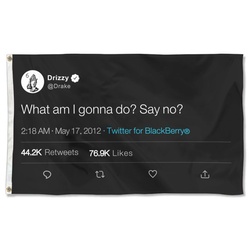 Drizzy Funny twitter What am I gonna do Say No Flag Banner