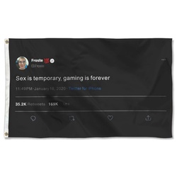 Froste Tweet Sex is temporary gaming is forever Flag Banner