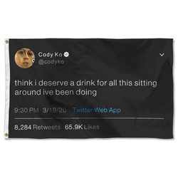 Think i deserve a drink for all this sitting around ive been doing Cody Ko Funny Tweet Flag Banner