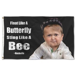 Float Like A Butterfly Sting Like A Bee Flag Banner