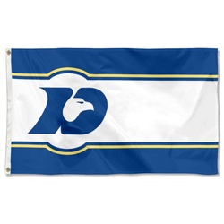 Texas Banner City of DeSoto Flag Banner