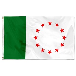 Malgobeksky district Ingushetia Russia Flag Banner