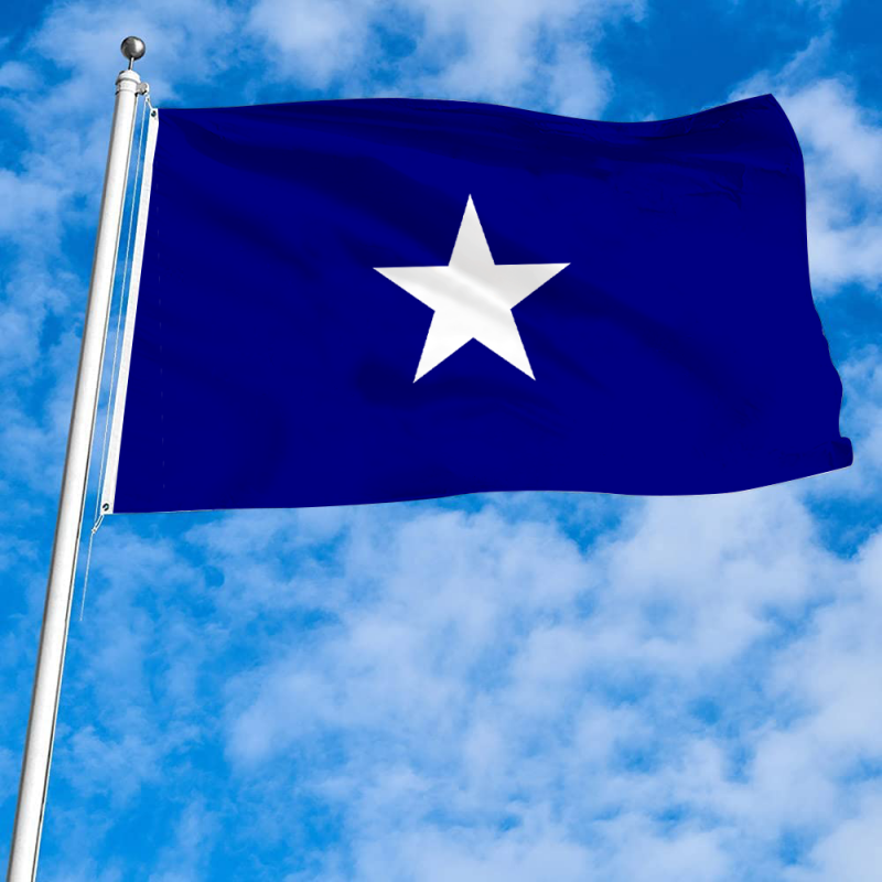 The United States Bonnie Blue Flag
